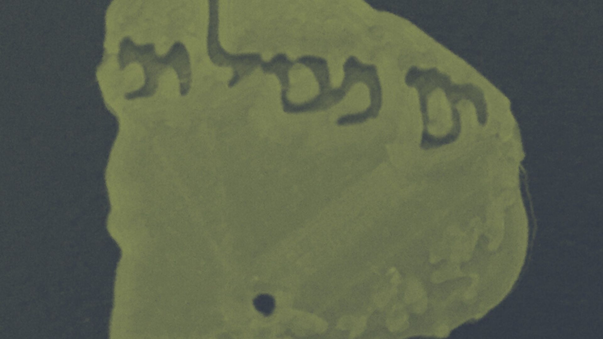 Why 3D print Dead Sea Scrolls? Some initial observations on the benefits of 3D printing for manuscript reconstruction