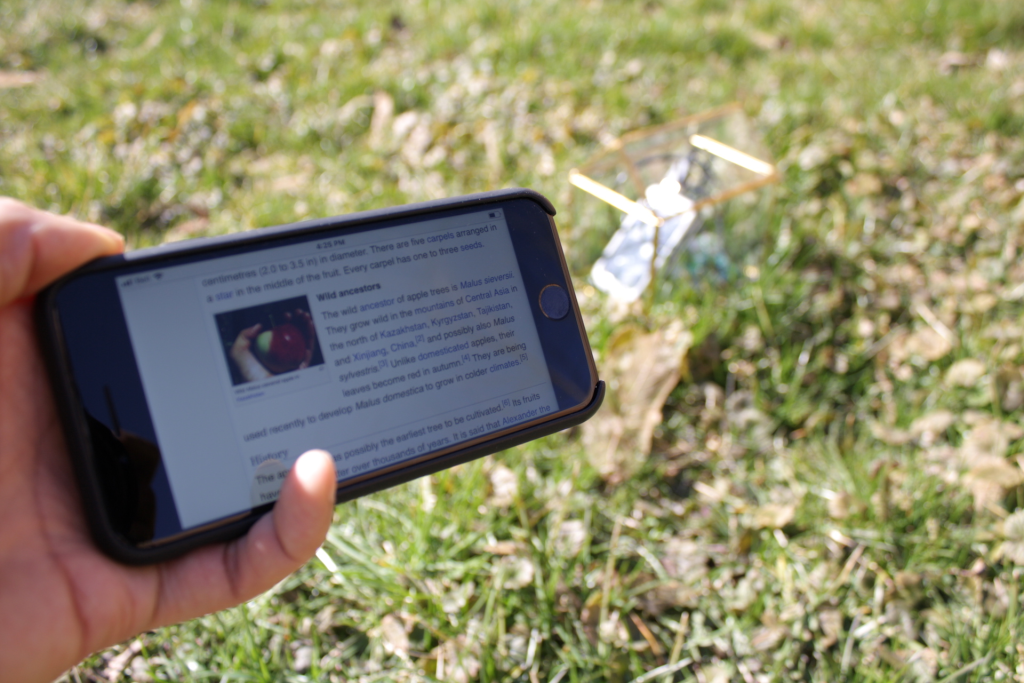 Smartphone connecting to Wikipedia through a nearby Raspberry interface for Xowa