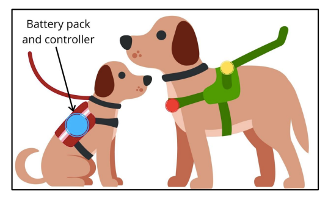 Emmy Nordstrom Higdon's mock-up of a biometric sensor that examined service dogs.