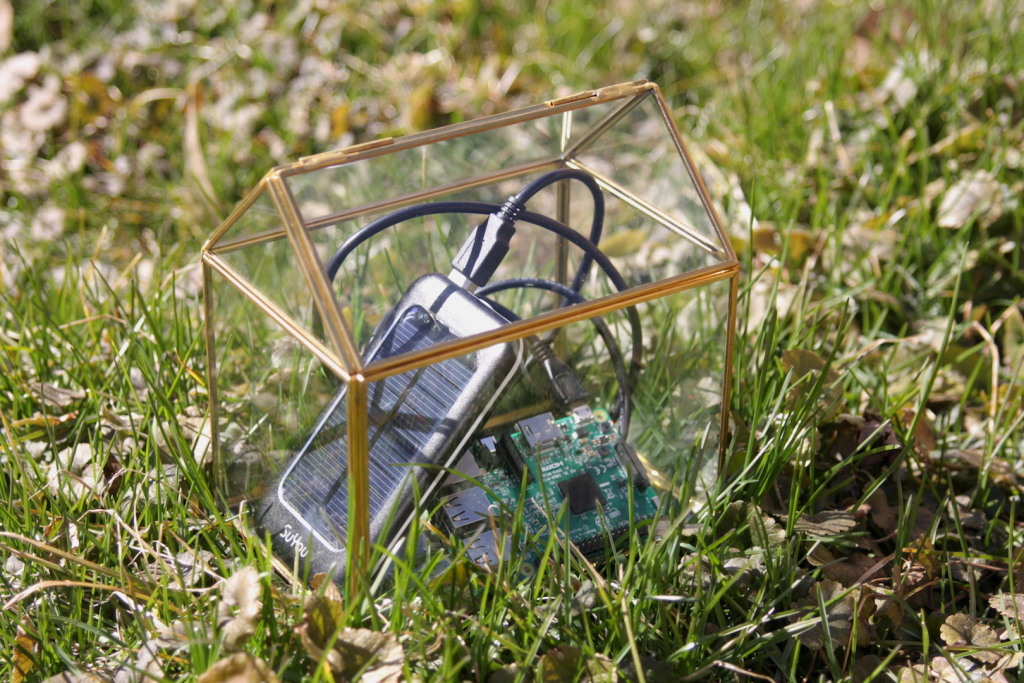Raspberry Interface for Xowa offline Wikipedia resting on the grass in a glass enclosure.