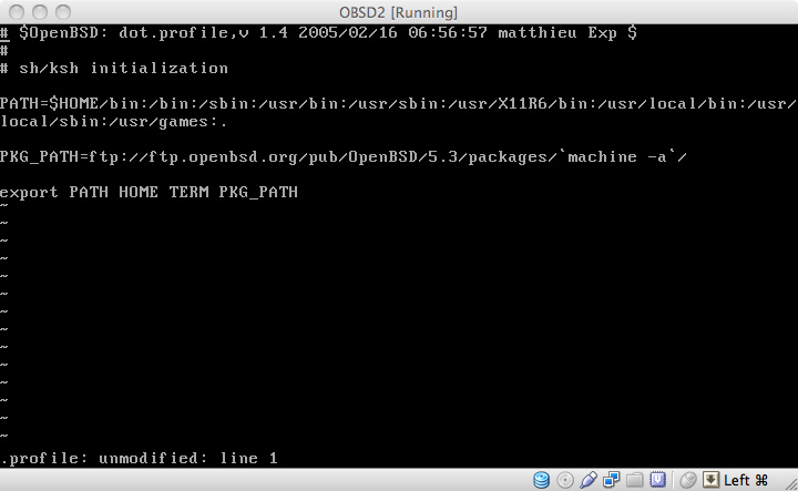Screenshot of code for OBSD2