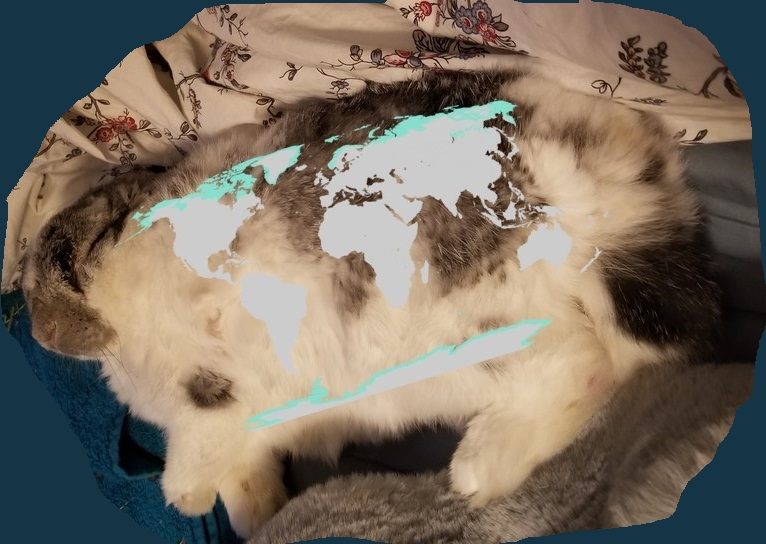 Map superimposed on photo of writer's bunny Gus