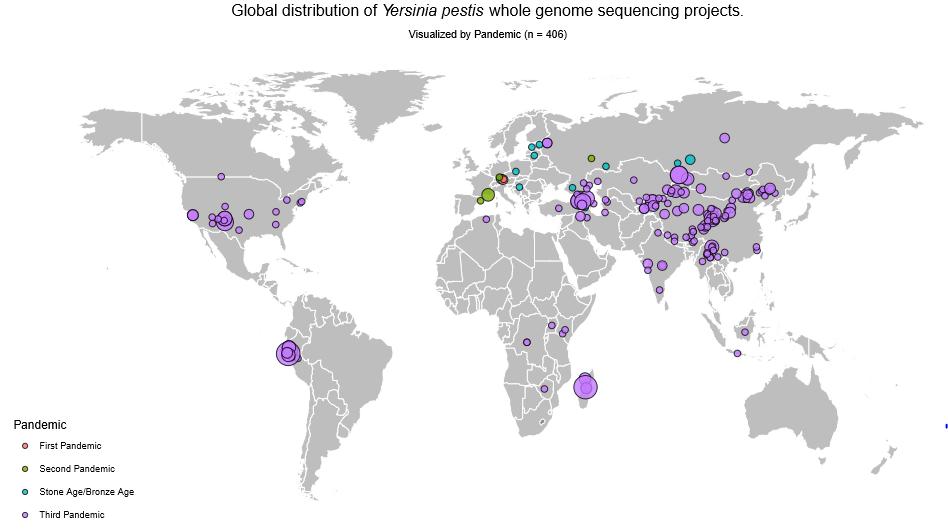 Map of the plague's spread throughout the world with different colors of dots assigned to different eras of the disease's spread (First Pandemic, Second Pandemic, Stone/Bronze Age, and Third Pandemic")
